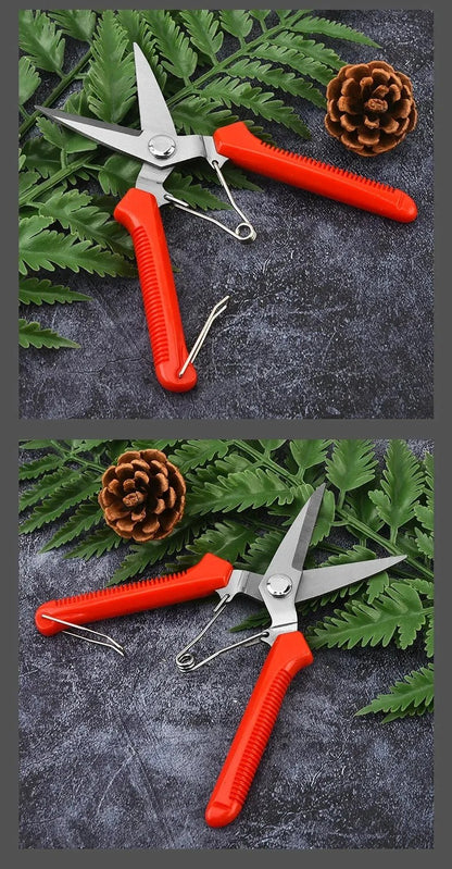 alishop:51464ae33104